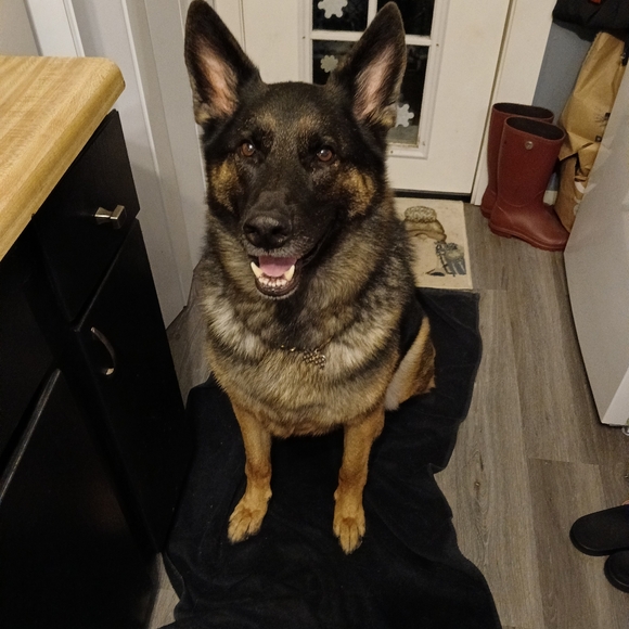 Unlisted Items for LIVE shows - Picture 5 of 11